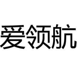 專業啟航 上海安有商務信息咨詢服務部的價值闡釋