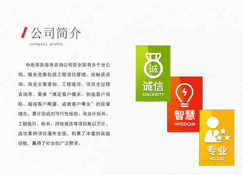 怒江寫計劃書與投標書 專業代寫助力競標與商務信息咨詢